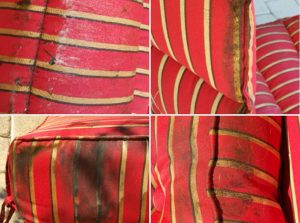 Professional Upholstery Cleaning in Palm Beach Gardens, FL Upholstery Cleaning Palm Beach Gardens, FL - before